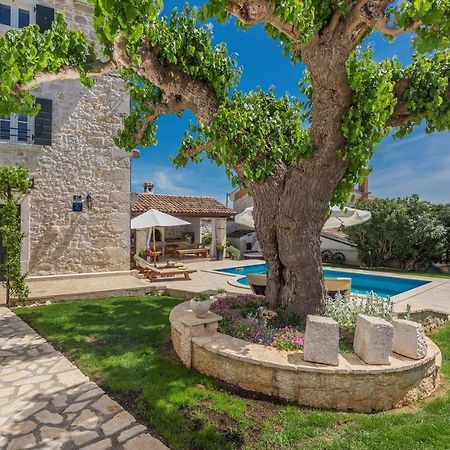 Beautiful Stone House - Villa Parentium With Private Pool Dracevac Экстерьер фото